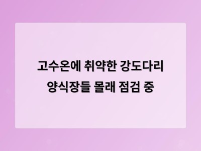 포항 양식장 이동병원 운영에 대한 찬반 의견과 장기 대응 방안 필요성 제기