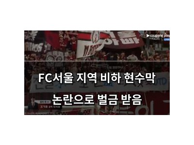 FC서울 지역 비하 현수막 논란으로 벌금 받음
