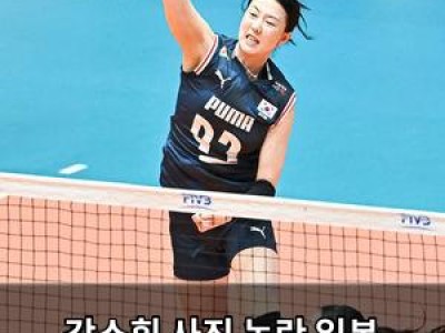 강소휘 사진 논란 일본 방송에 등장한 이유가 문제 되는 듯